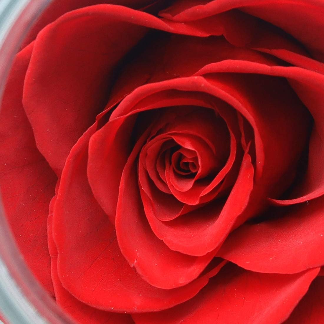 Preserved Real Roses with Colorful Mood Light Wishing Bottle, Eternal Rose,Never Withered Flowers, Table Decor,Christmas Anniversary Valentine's, Red 4.3inch, 1pcs