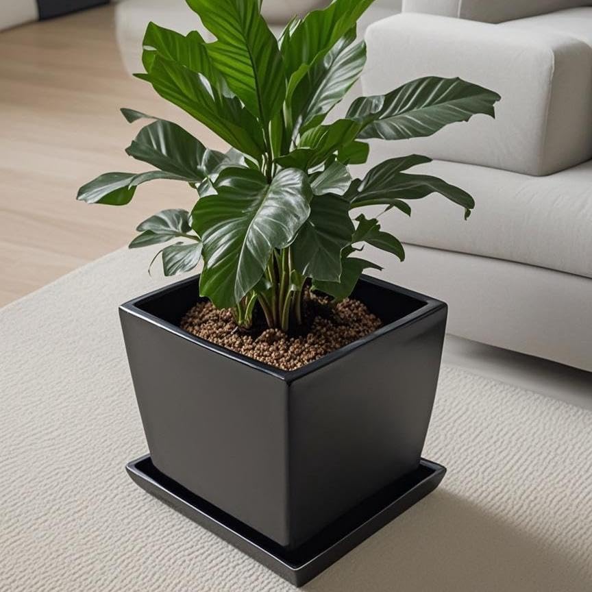 Square Plant Saucer 14 Inch 1 Pack,Plant Trays for Pots, Black Ceramic Plant Saucers for Indoors Outdoors, Plant Drip Tray 4 6 8 10 12 14 Inch