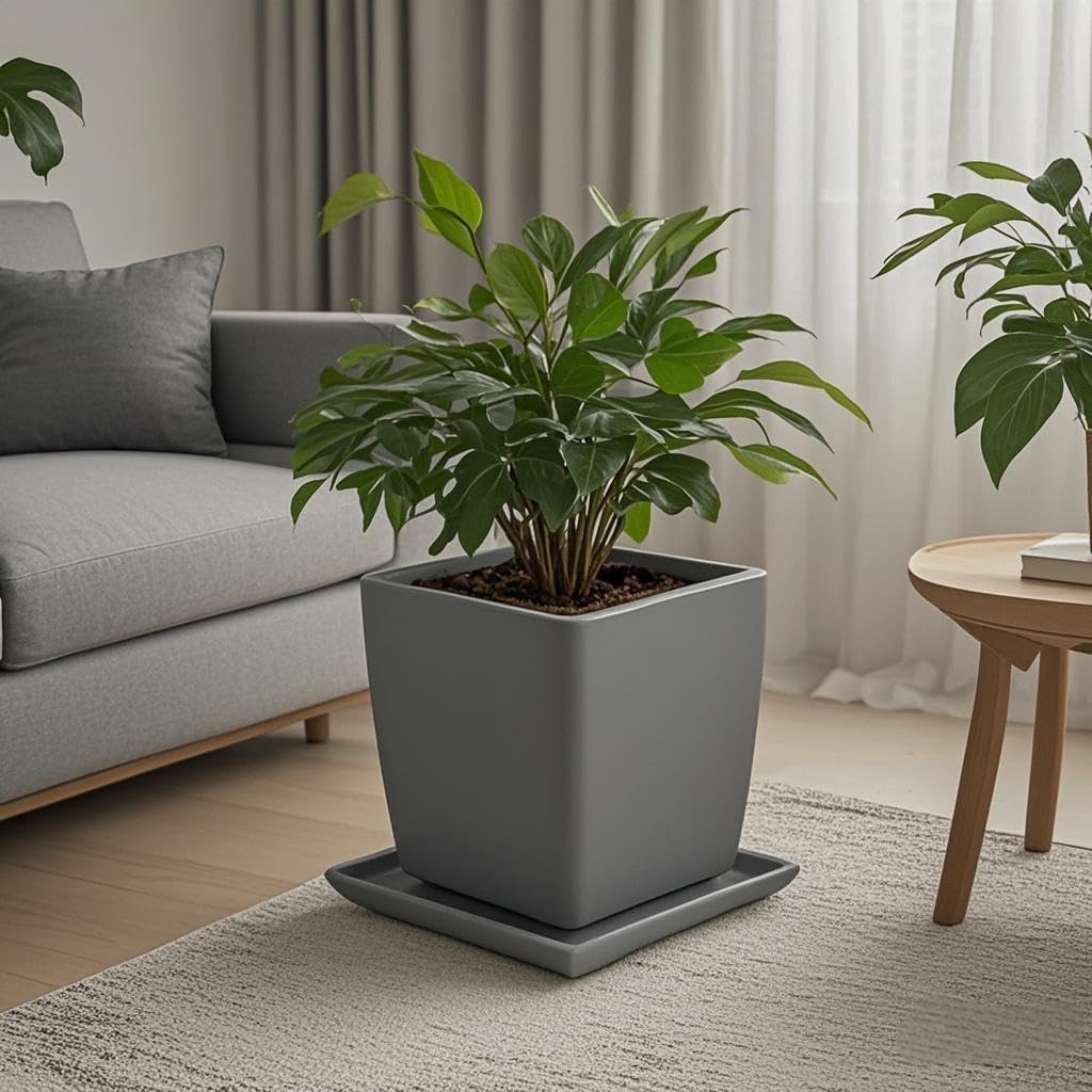 Square Plant Saucer 12 Inch 1 Pack,Plant Trays for Pots, Gray Ceramic Plant Saucers for Indoors Outdoors, Plant Drip Tray 4 6 8 10 12 14 Inch