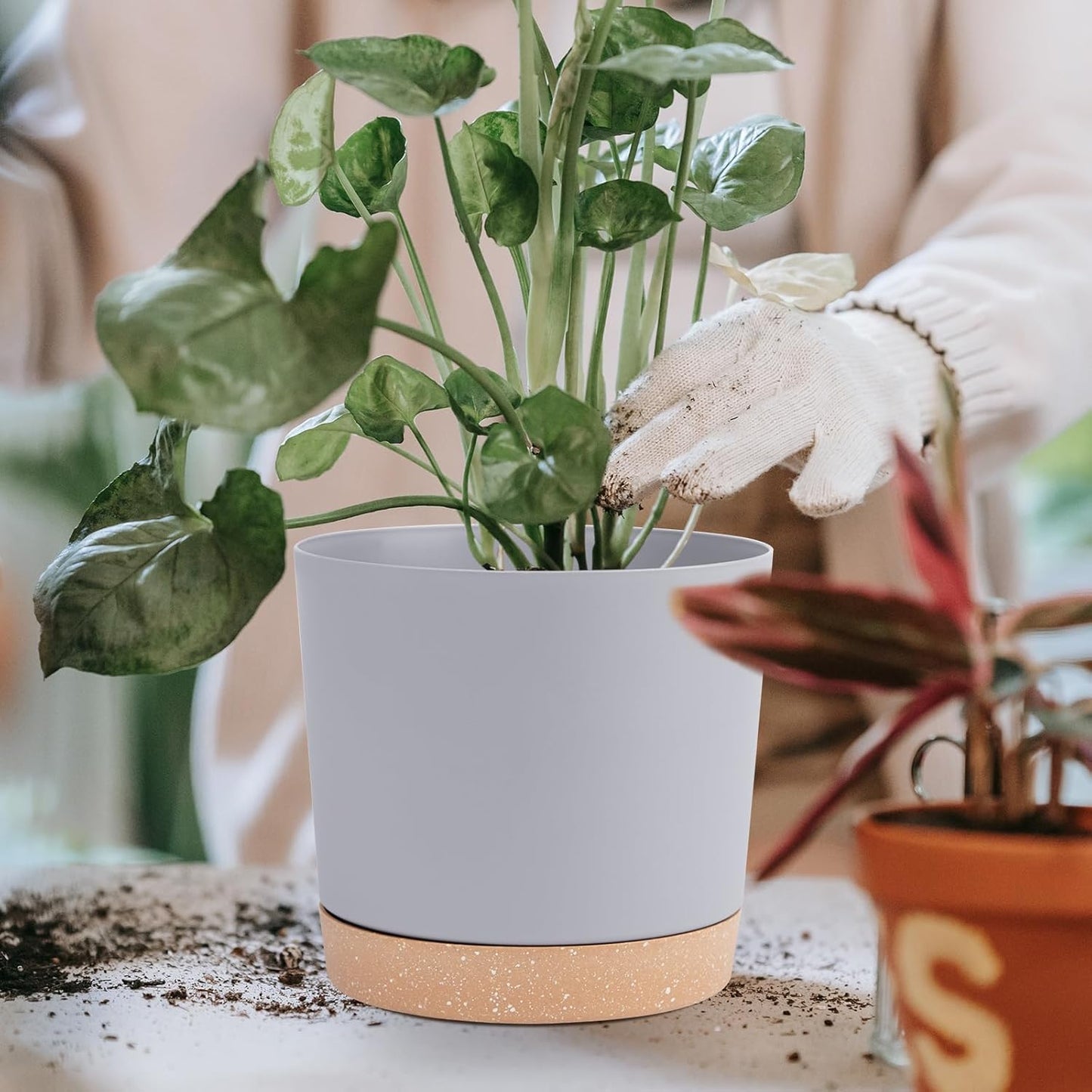 QCQHDU 6.5 inch Plant Pot, 2 Pack Planters for Indoor Plants with Drainage Holes & Saucer, Outdoor Flower Pots Home Garden Modern Decor