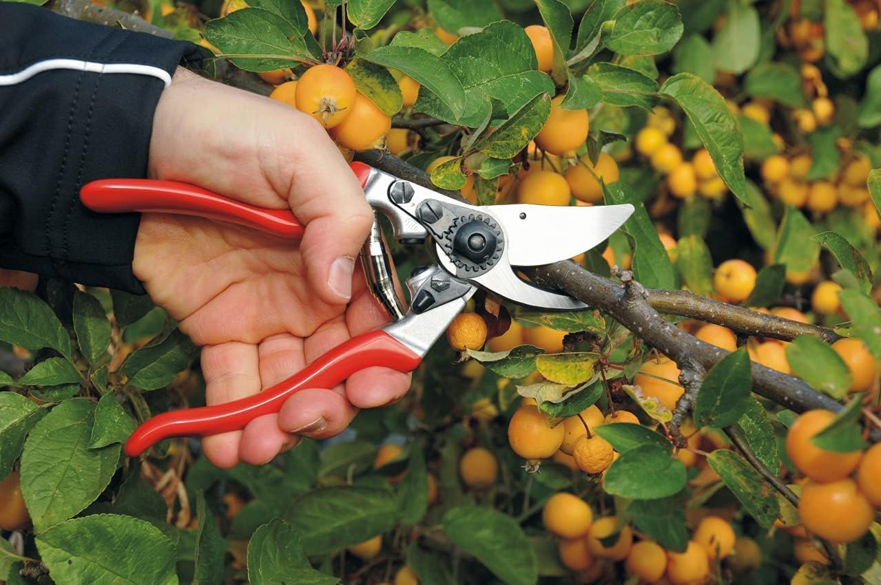Felco F9 Pruning Shears –11" Swiss-Made Left-Handed Garden Clippers with 1" Cutting Capacity | Hand Pruners for Gardening | Garden Tool Cutter with Precision Bypass Blade, Forged Aluminum Handles