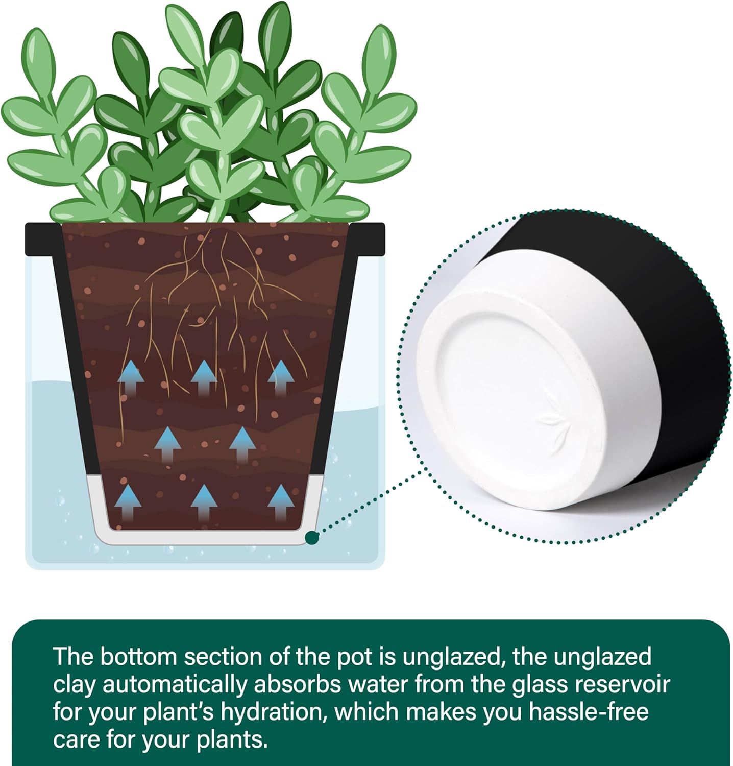 D'vine Dev 4 Inch Design Self Watering Planter for Indoor Plants, Black Terracotta Pot with Cylinder Glass Cup, Set of 3, 37-Z-A-3-T
