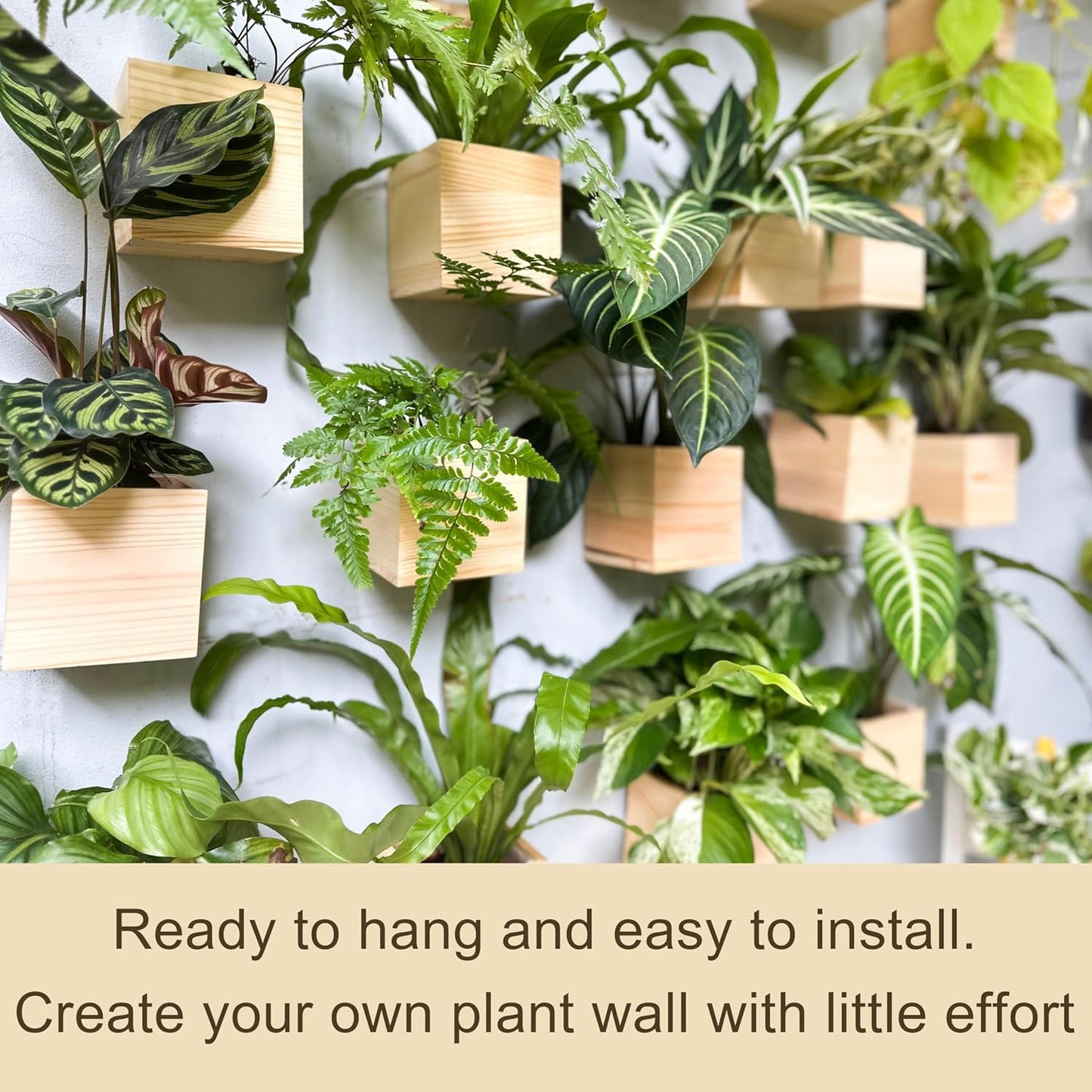 LaLaGreen Wooden Planter Box for Plants (4x4 Inch, 2 Pack) Small Square Wall Planters for Indoor Plant, Natural Wood Hanging Flower Pot Boxes Table Centerpiece Herb Balcony Home Garden Office Decor