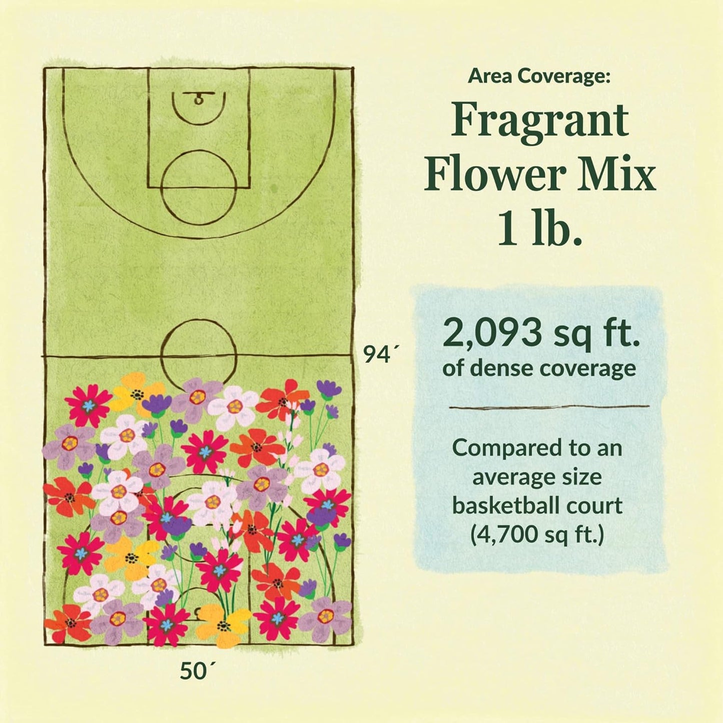 Ferry-Morse Fragrant Mix Bulk Flower Seeds, 1lb
