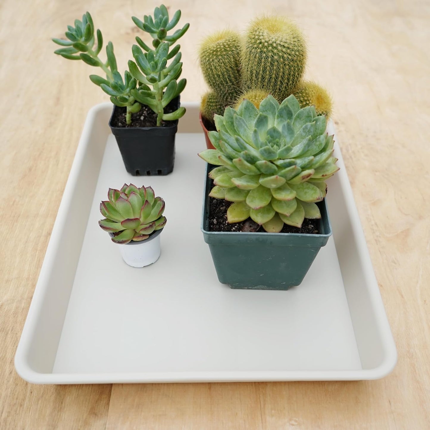 Plant Saucer Growing Tray, Seed Starter Tray Rectangular, Heavy Sturdy Plastic Plant Saucers Drainage Trays, Plant Drip Trays for Pots, Seed Starter Growing Tray (11 x 9 inch, 1 Pack)