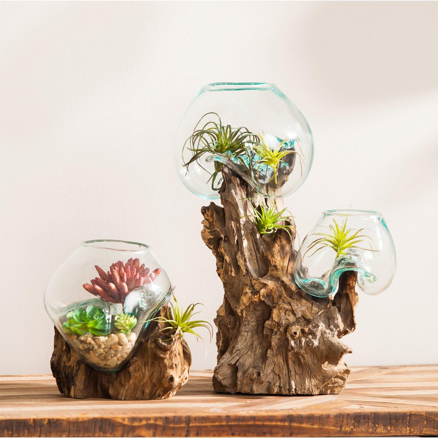 Cape Craftsmen 12" H Hand-Blown Blue Tinted Bubble Glass On Natural Teak Driftwood Terrarium | Home Décor Indoor Planter with Stand | Pot for Succulent and Plants