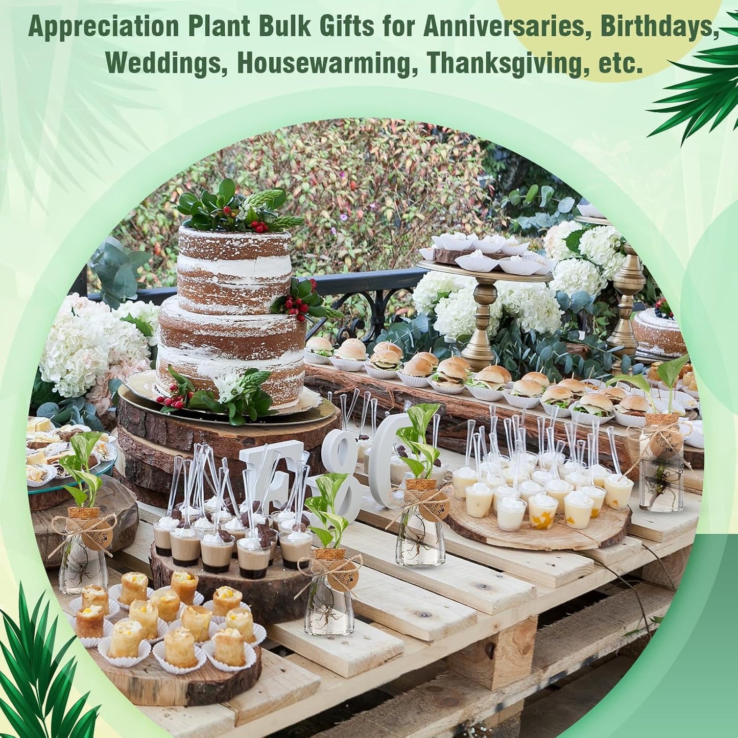 Baderke 3.35'' Plastic Plant Propagation Stations with Hole Lid Planter Vase Clear Propagation Jars with Thank You Tags for Plant Lover Gifts for Women Office Home Garden(12 Pack,Cute)