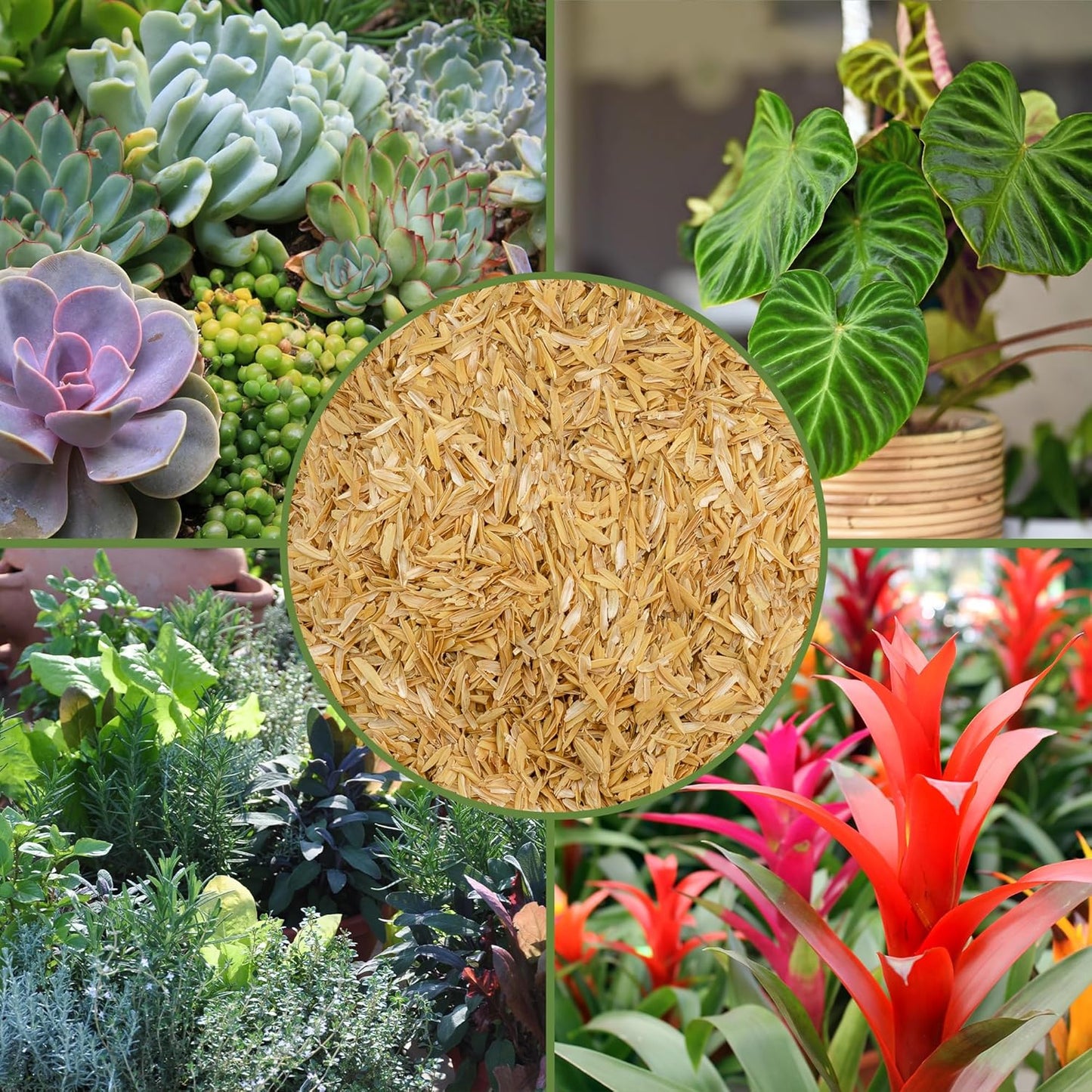 Organic Horticultural Grade Rice Hulls (2 Quarts); All-Natural Soil Amendment for Houseplants, Gardening, Seed Starting & Chicken Bedding
