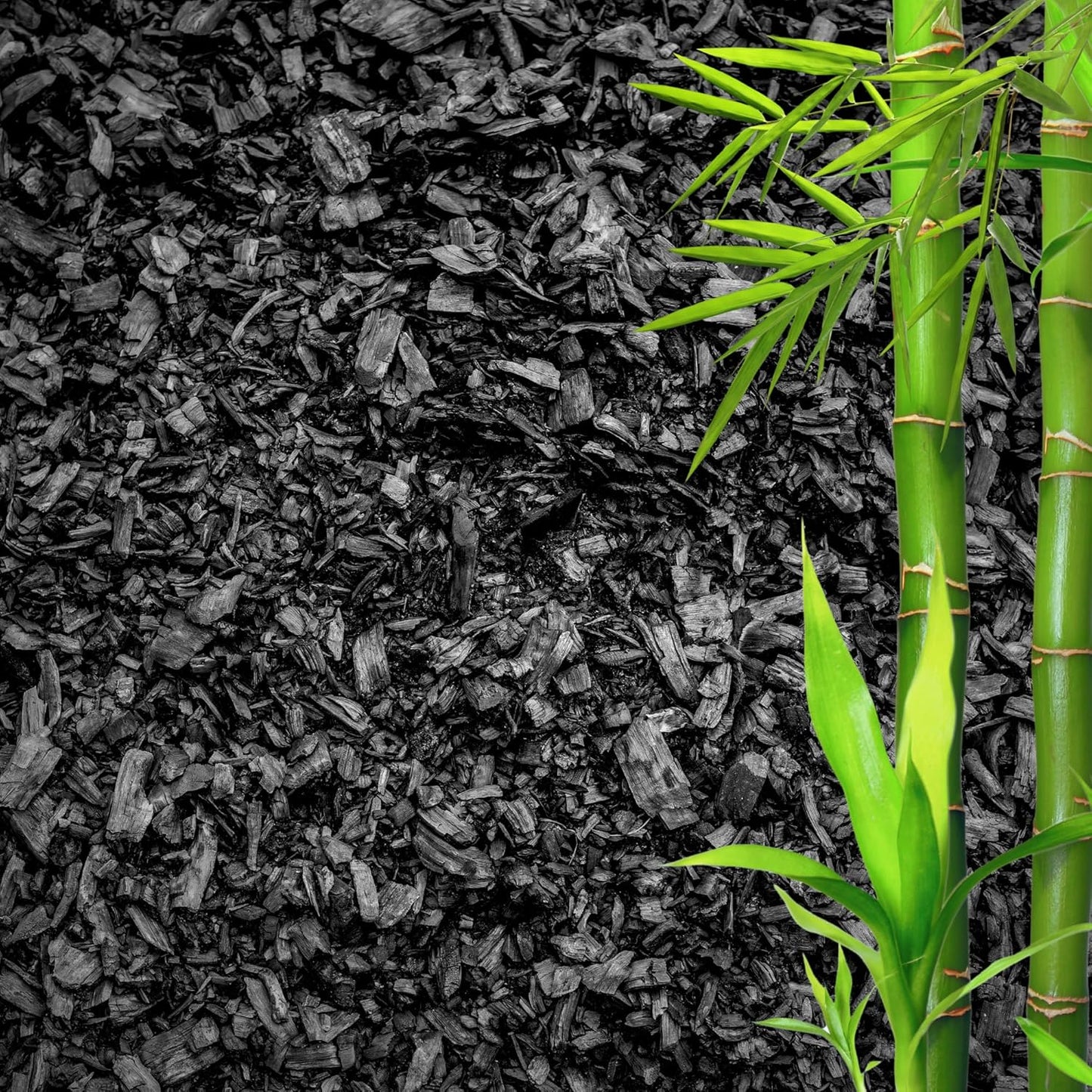 Horticultural Charcoal for Plants ā Organic Bio Char Soil Amendment for Terrariums, Indoor Plants & Gardening, Made in USA (1 Quart)