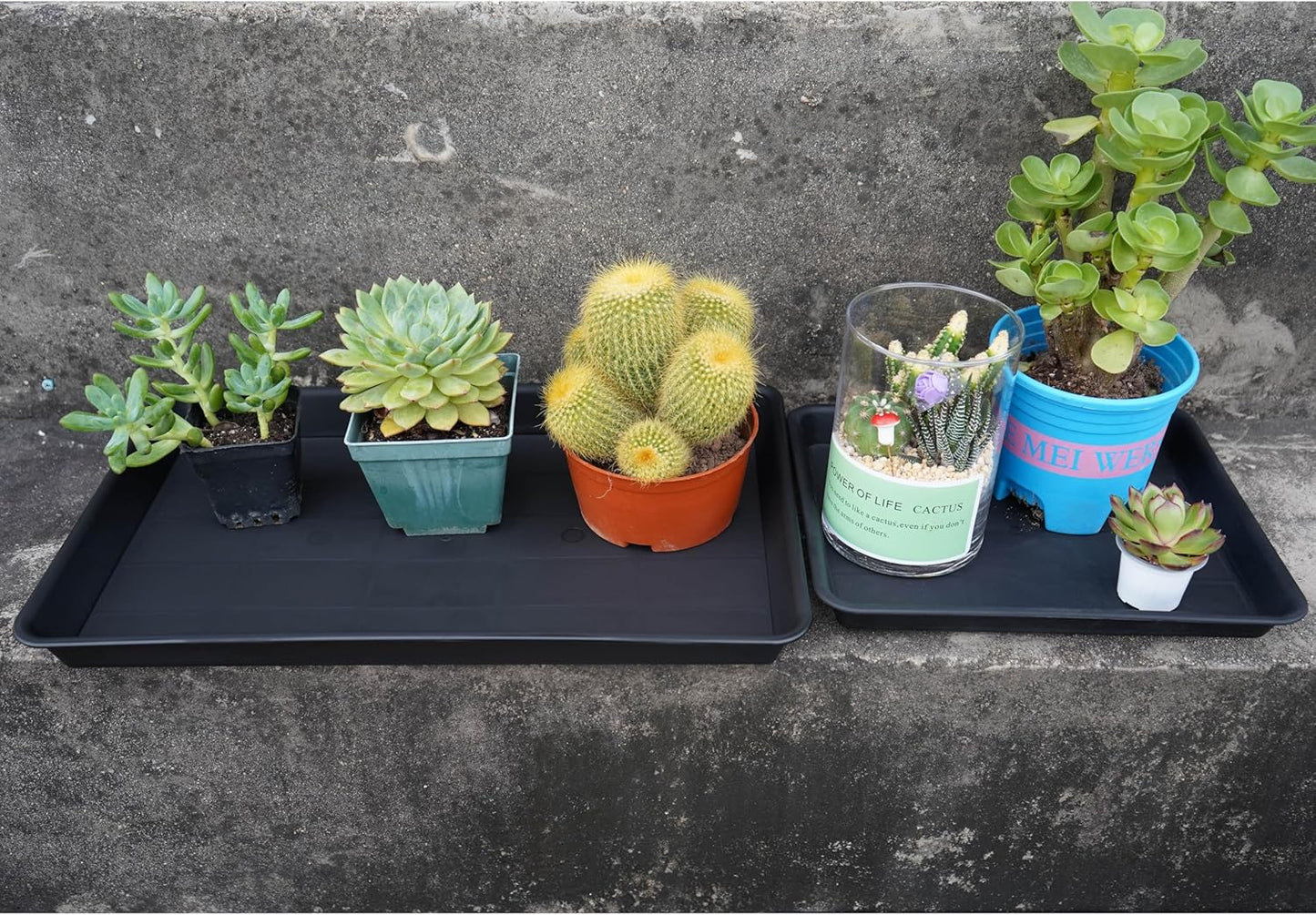 Plant Growing Trays 6 Pack, Plant Tray, 14.5"x11", Heavy Sturdy Plastic Plants Saucer, Seedling Starter Trays, Seed Starter Growing Tray (Black)