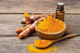 Turmeric Plants (4 Pack) (Curcuma Longa) Live Plants for Planting, Grow Fresh Golden Root at Home, Medicinal Edible Herb, Easy to Cultivate in Pots or Garden Beds