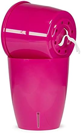 Santino 4.9 Inch ORCHIDEA Self Watering Pots for Orchids in Transparent - Decorative Wicking Planter with w/Great Aerification, Drainage and Water Level Indicator