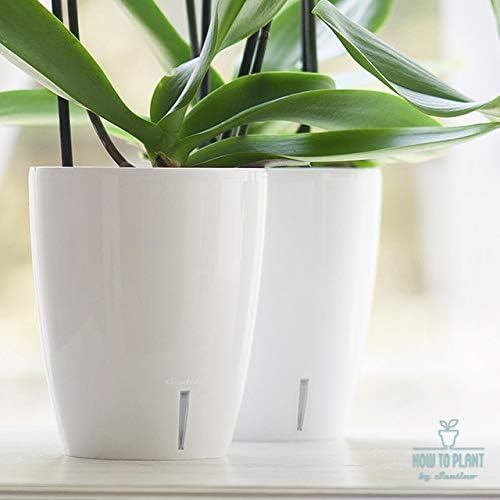 Santino 4.9 Inch ORCHIDEA Self Watering Pots for Orchids in Lavender (Set of 3) - Decorative Wicking Planter with w/Great Aerification, Drainage and Water Level Indicator