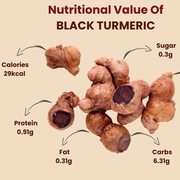 Premium Live Black Turmeric (Curcuma caesia) Plants - Rare Herbal Medicinal Plant, Perfect for Home Gardens (2 Black Turmeric Bags)