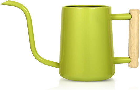 Watering Can Indoor Plants, 35 oz/1000 ml Metal Stainless Steel Watering Can Pot with Long Spout for Indoor House Plants Bonsai Outdoor Garden Flower Decorative (Bright Green)