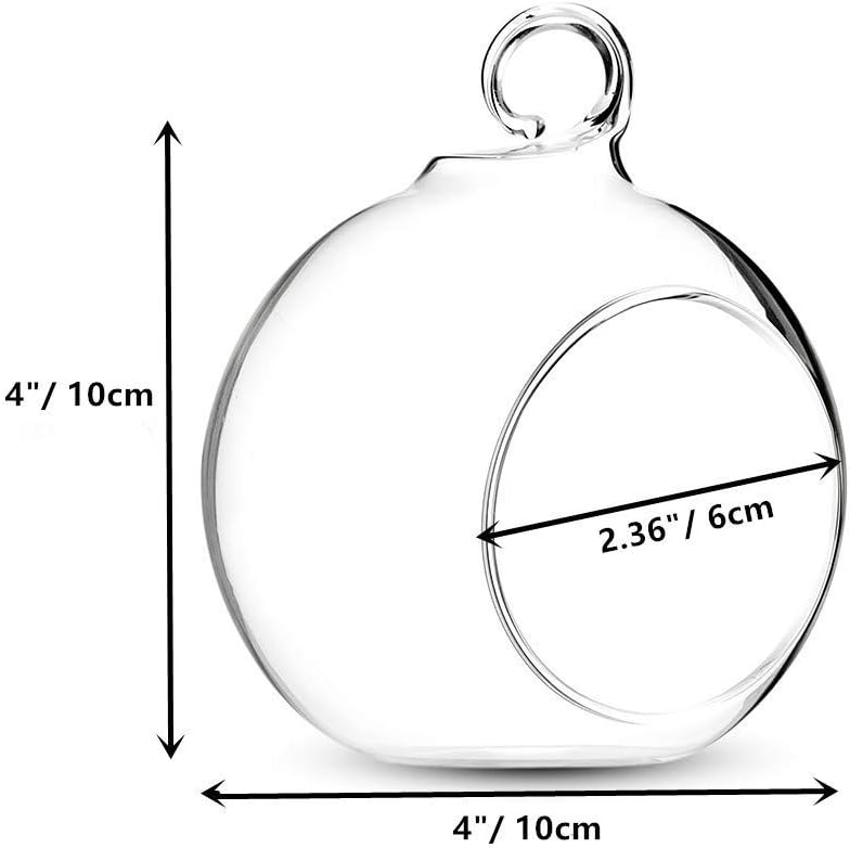 4 Pcs Hanging Glass Terrarium Plants, 4" Diam Globe Planter Terrariums for Succulent