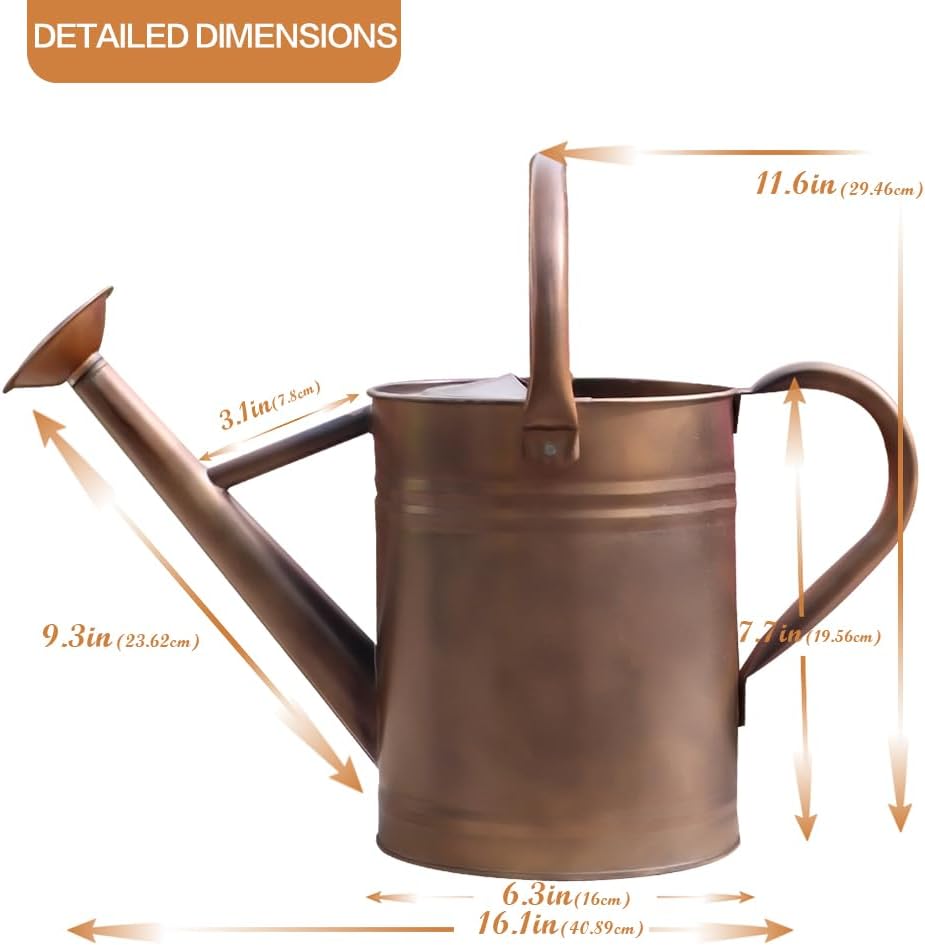 Galvanized Metal Watering Can, One Gallon Watering Cans for Outdoor Indoor Garden Plants Watering with Luminous Panit