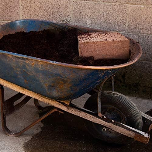 Minute Soil Bulk Coconut Coir Block 2-Pack – OMRI Listed for Organic Use – Compressed Growing Medium Expands with Water – Indoor & Outdoor Gardening Soil Alternative