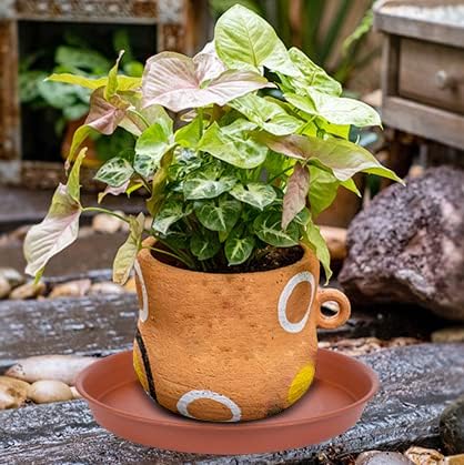 6 Pack of 4 inch Plant Saucer, Heavy Duty Plastic Plant Water Tray 4 inch Round, Pebble Tray, Plant Saucers for Indoors, Plant Dishes Saucer for Planter 3"/4" (4 inch, Terracotta)