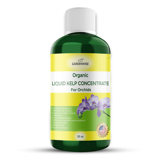 Organic Premium Kelp Seaweed Concentrate: Fertilizer for Orchids - Orchid Food (16 OZ)