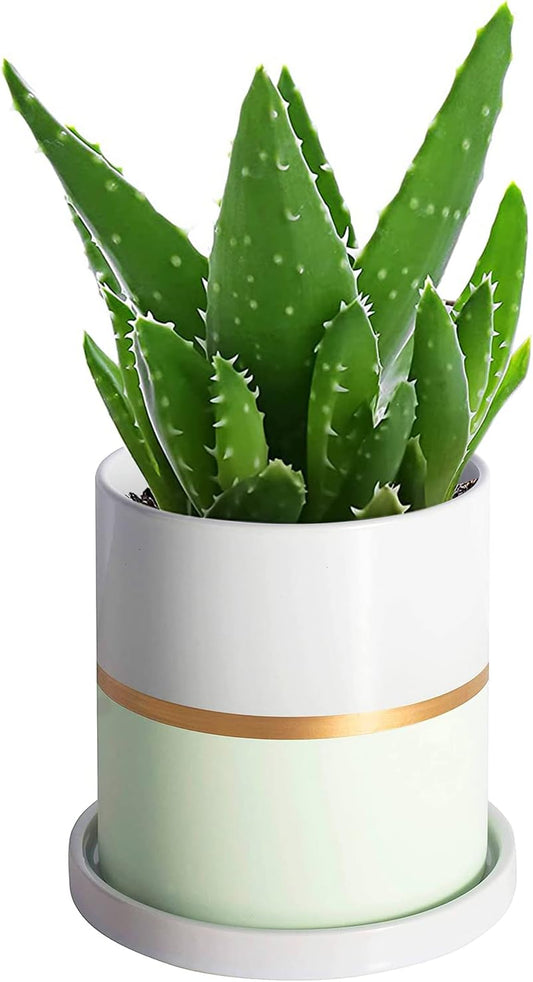 Ekirlin 5 inch Plant Pot - Ceramic Flower Planters Indoor - Modern Succulents Containers with Drain Hole Saucer, Decorate Home, Office & Outdoor (Green)