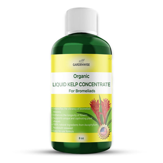 Organic Premium Kelp Seaweed Fertilizer - Bromeliad Fertilizer - Liquid Plant Food, Bromeliad Potting Mix Enhancer - Ideal for Bromeliad Plant & Live Plant Care (8 OZ)