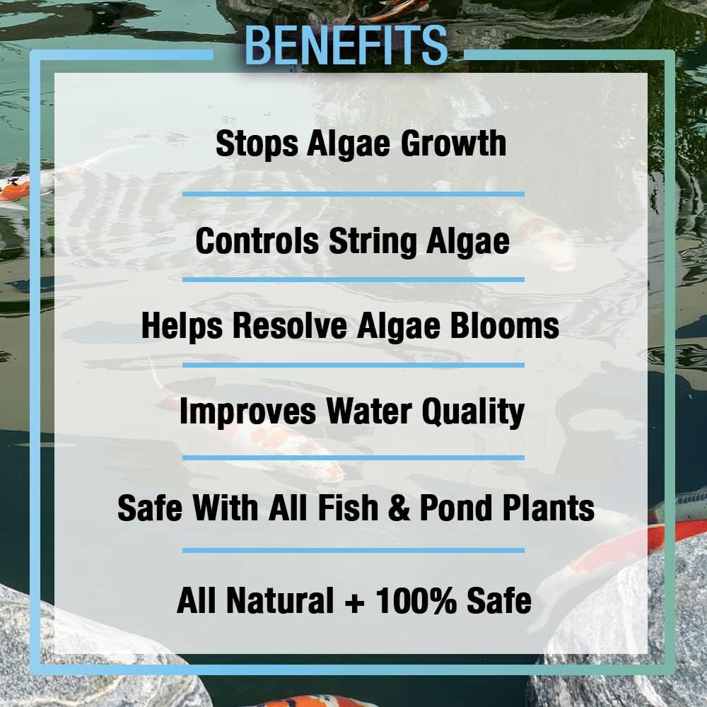 MICROBE-LIFT ALGA2.5 Algaway 5.4 Algae Control Treatment for Ponds and Water Gardens, Safe for Koi Fish, Goldfish, Plants, and Decorations, 2.5 Gallons