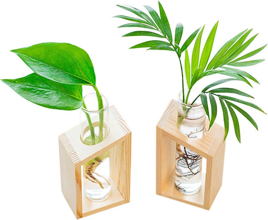 Ivolador Plant Propagation Station, Plant Propagation Tubes,Gifts for Plant Lovers,Plants Cutting Holder Office Desk Garden Décor Gifts for Mom Women Hydroponic Vase Gift Box