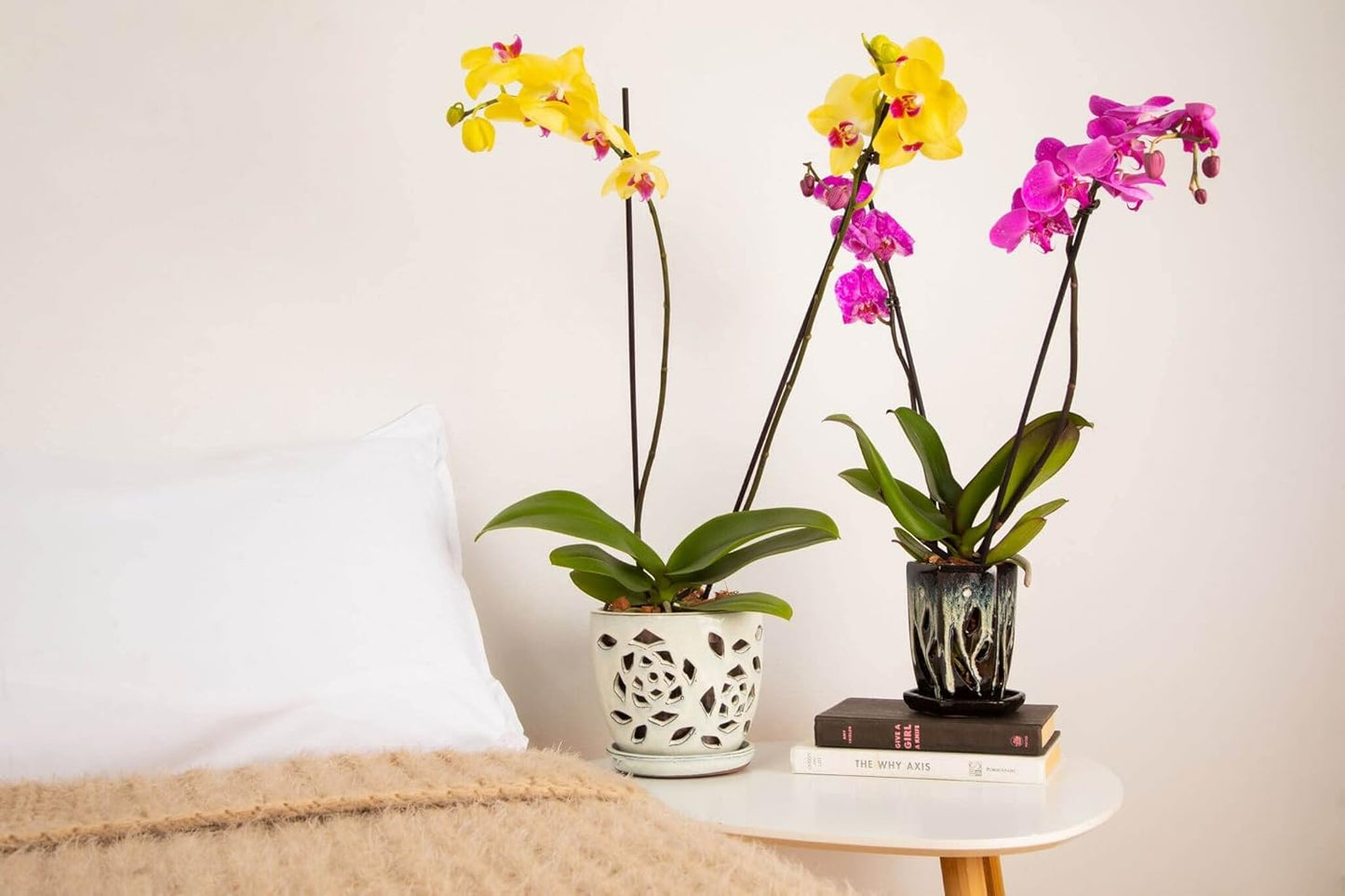 rePotme Orchid Pot, 4 x 6 inch Hexagon Ceramic Orchid Pot with Holes and Matching Saucer (Teal Jade)