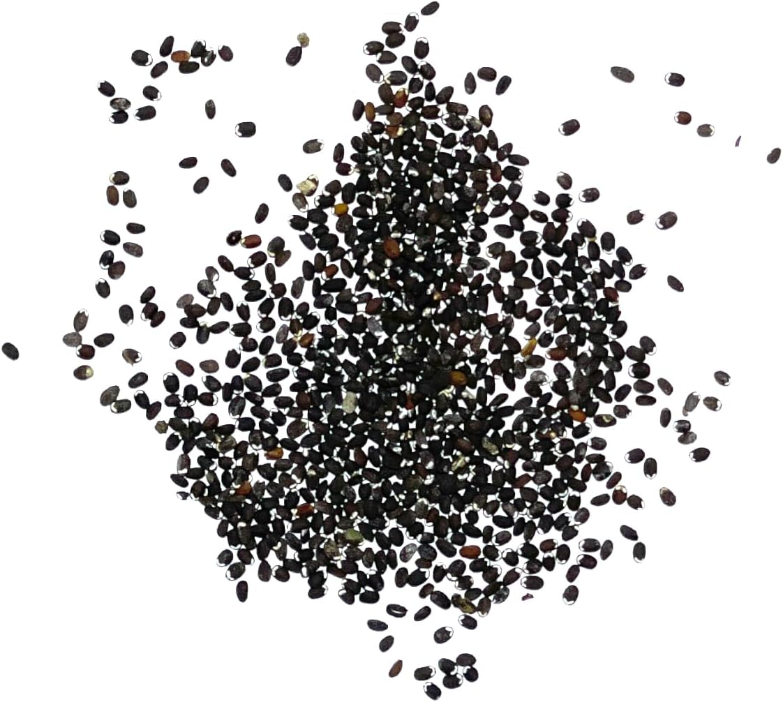 Seed Needs, Catmint Seeds for Cats - 600 Heirloom Seeds for Planting Nepeta mussinii - Perennial Flowering Medicinal Herb Non-GMO & Untreated (1 Pack)