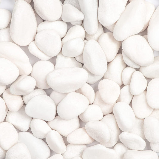 20lbs White Natural River Rocks, Polished Pebbles for Plants Garden, 1-2 inch Decorative White Stones, Ideal for Fish Tank, Vases, Crafting, Home Decor and Garden Landscaping Rocks,White