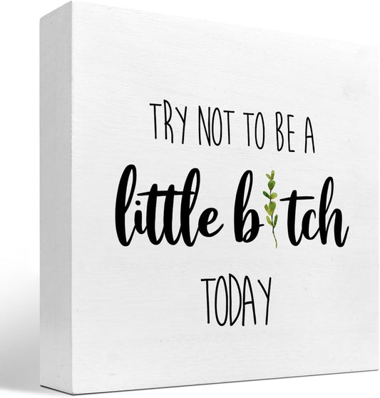 Funny Home Wood Decor Sign,Try not to Be a Little B Today Sign,Humor Wooden Box Plaque Sign Desk Decor for Home Office Shelf Table Decor Decorations