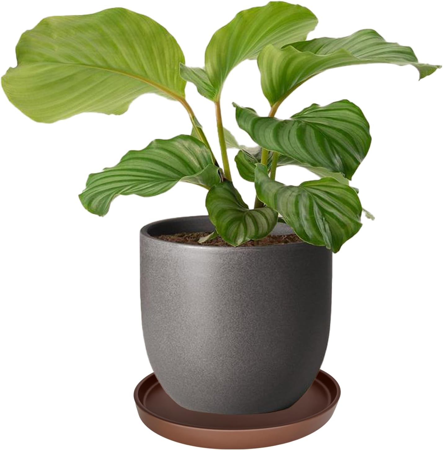 Ceramic Plant Saucer Pot Tray 12 Inch, Planter Saucers 4 5 6 7 8 9 10 11 12 13 Inch for Indoors Outdoor, Durable Sturdy Flower Drainage drip Water Tray for Glazed Pots Base (12.7 Inch-Brown)