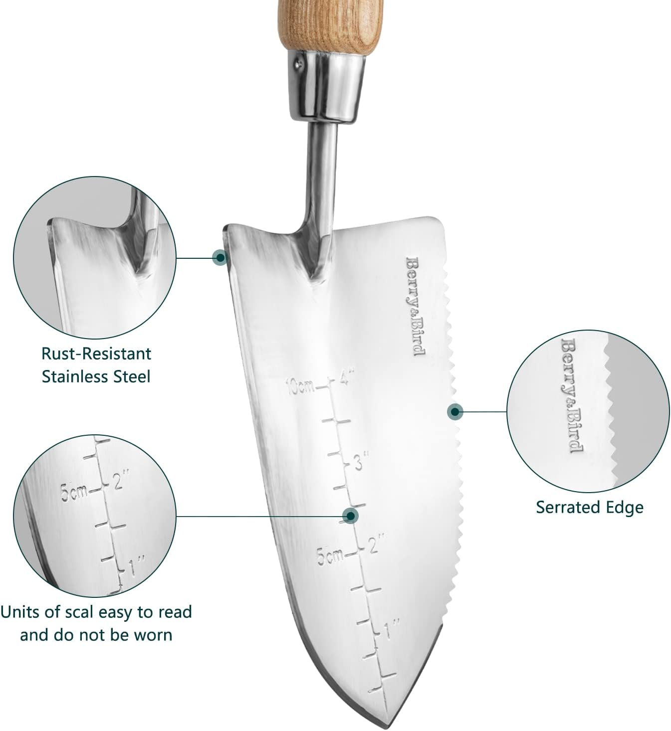 Berry&Bird Garden Serrated Planting Trowel, Multifunctional Shovel with ash Wood and Stainless Steel Digging Trowel Transplanter
