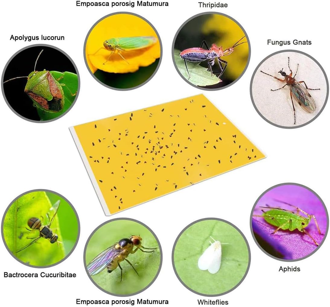 Gideal 50-Pack Dual-Sided Yellow Sticky Traps for Flying Plant Insect Fungus Gnats Whiteflies Aphids Leafminers Thrips (6x8 Inches, Included 50pcs Twist Ties)