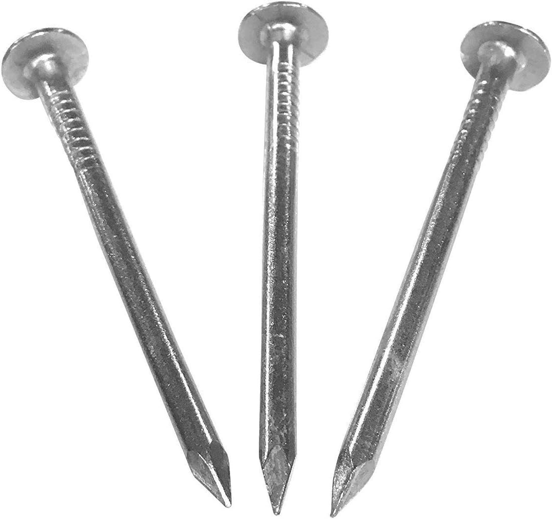 Eagle 1-26 Gauge 5 Foot Rain Diverter - Nails and Instructions Included (Mill Finish Aluminum, Copper, Galvanized, Stainless Steel & More) (1, White)