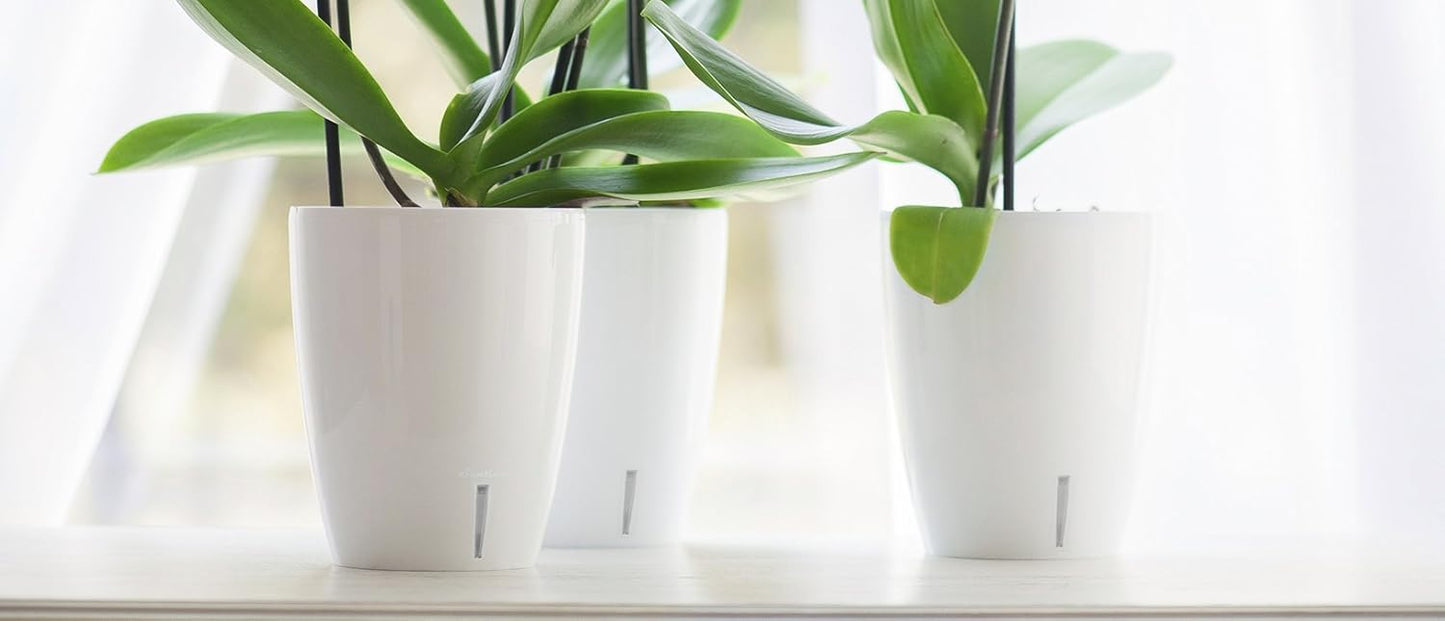 Santino 5.5 Inch ORCHIDEA Self Watering Pots for Orchids in Violet - Decorative Wicking Planter with w/Great Aerification, Drainage and Water Level Indicator