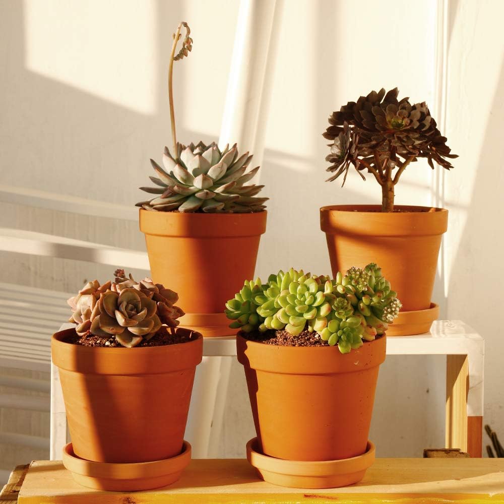 Yishang Large Terra Cotta Pots with Saucer- 4 Pack Large 6'' Terra Cotta Plant Pot with Drainage Hole, Flower Pot with Tray, Terracotta Pot for Indoor Outdoor Plant