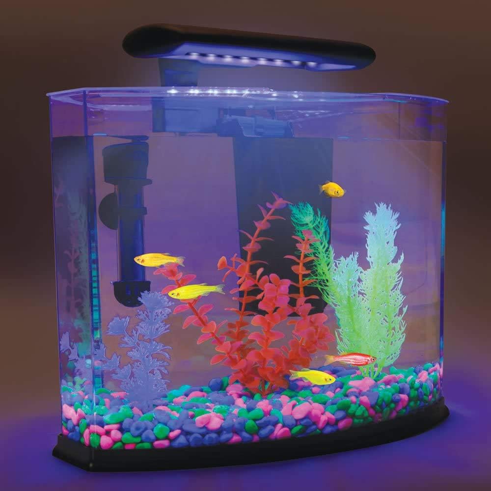 Oubest Glow in The Dark Pebbles/Glow Stones/Glowing Rocks Blue Decor for Garden/Fish Tank/Aquarium/Walkway/Driveway/Plant Pots/Bonsai (500, Multi-Colored)
