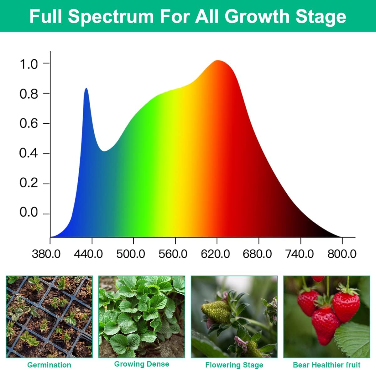 T5 Grow Lights 5000K Full Spectrum,1.4FT (8pcs x 10 Watts) Plant Growing Lamp,End-to-End Connectable Led Light Strips for Indoor Plants Succulents Flowers Growing