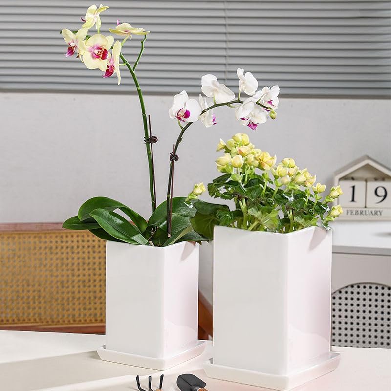 Square Plant Saucer 10 Inch 1 Pack，Plant Trays for Pots, White Ceramic Plant Saucers for Indoors Outdoors, Plant Drip Tray 4 6 8 10 12 14 Inch
