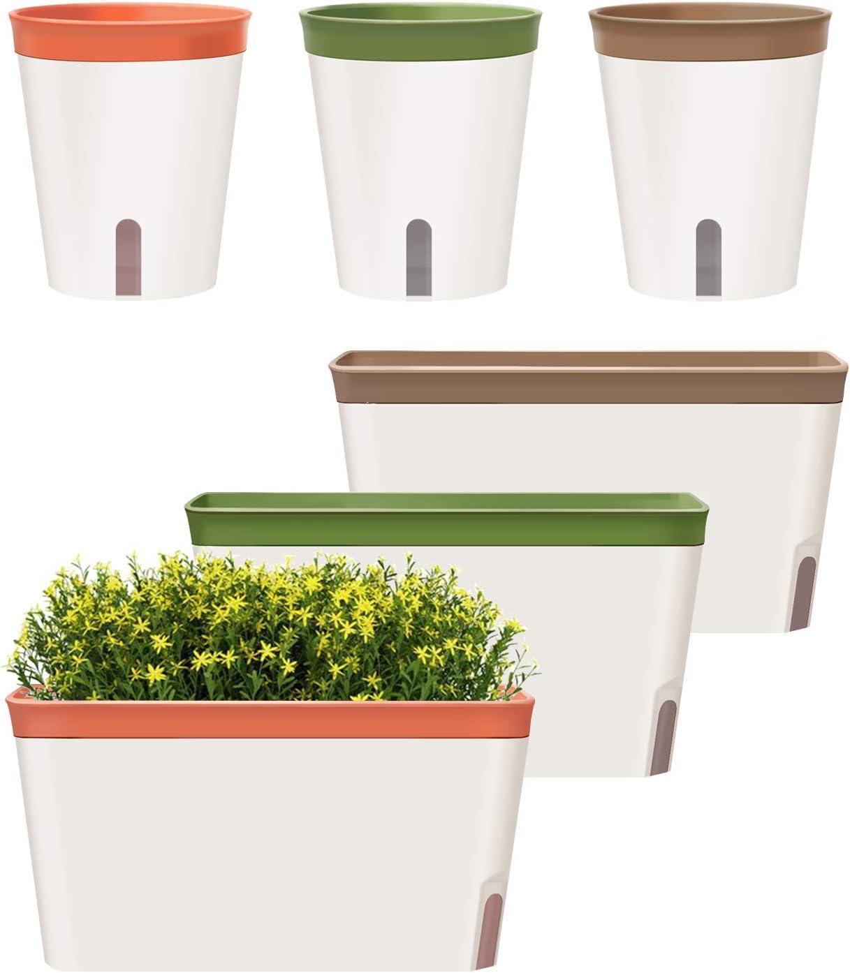 GardenBasix Self Watering Pots Window Box for Indoor Plants Set of 6 Home Garden Modern Decorative Flower Planter for All House Herbs Succulents (6, Tricolor)