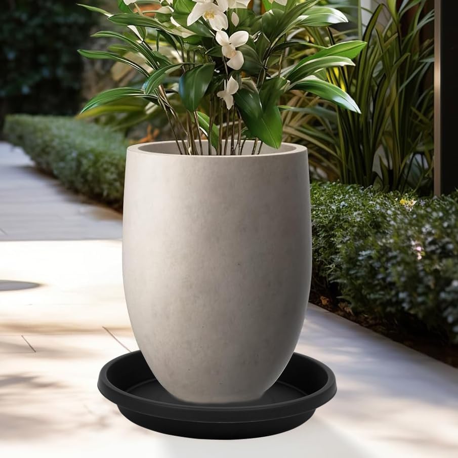2 Pack Plant Saucer 12 Inch, Heavy Sturdy Plant Trays for Pots, Plant Drip Trays, Plant Water Catcher Tray for Plants, Plastic Plant Saucers for Indoors no Holes