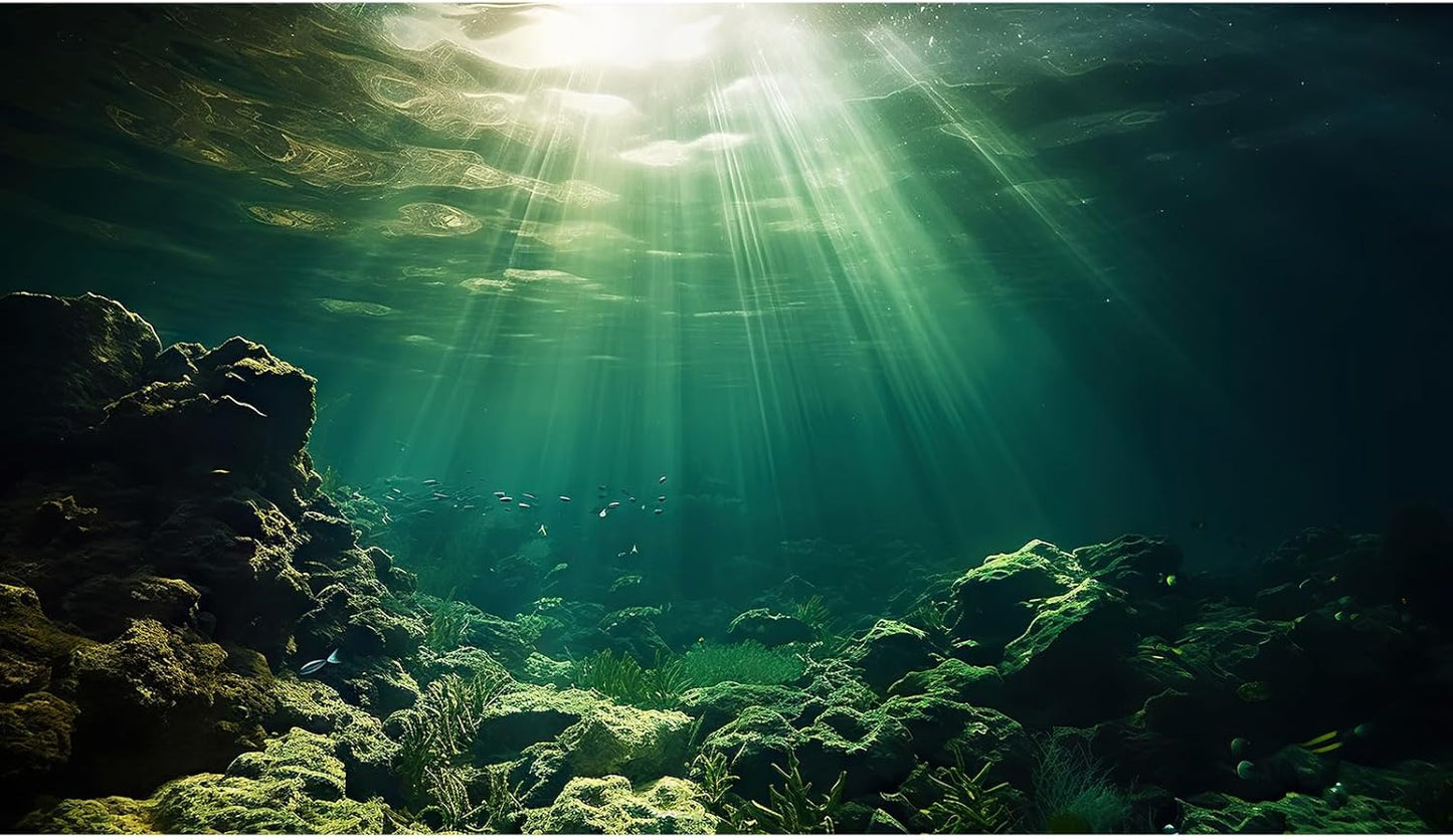 Under The Sea Aquarium Background Underwater Fish Tank Background Ocean Floor Rock Cave Sunray Terrarium Backgrounds Tropical Fish Ocean World Aquarium Reptile Tank Backgrounds 36x24in