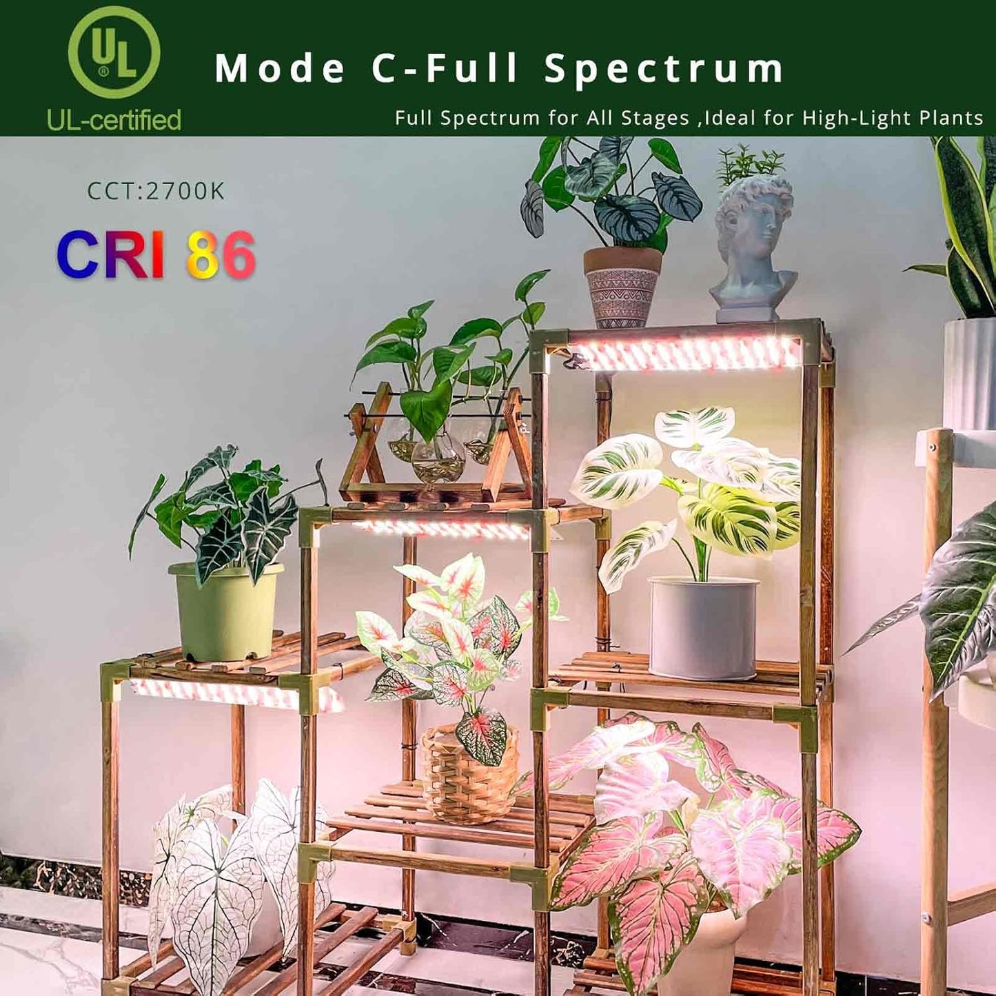 LED Grow Lights, Dimmable Plant Lights for Indoor Growing in Winter Full Spectrum, Ultra Thin Plant Grow Lights with 6/12/16H Timer, 3 Spectral Modes Grow Light Panel for Gardening, Houseplants