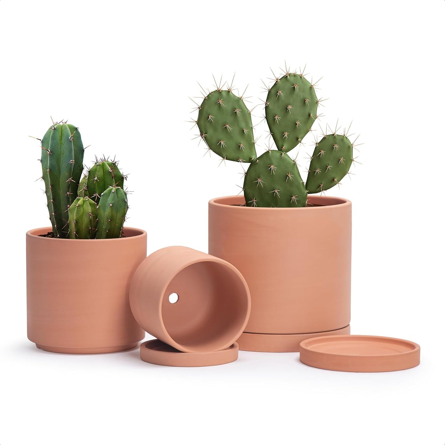 D'vine Dev Terracotta Pots for Plants, 5.3 Inch 6.5 Inch 8.3 Inch, Round Cylinder Planter Pot with Drainage and Saucer, 40-T-B-0