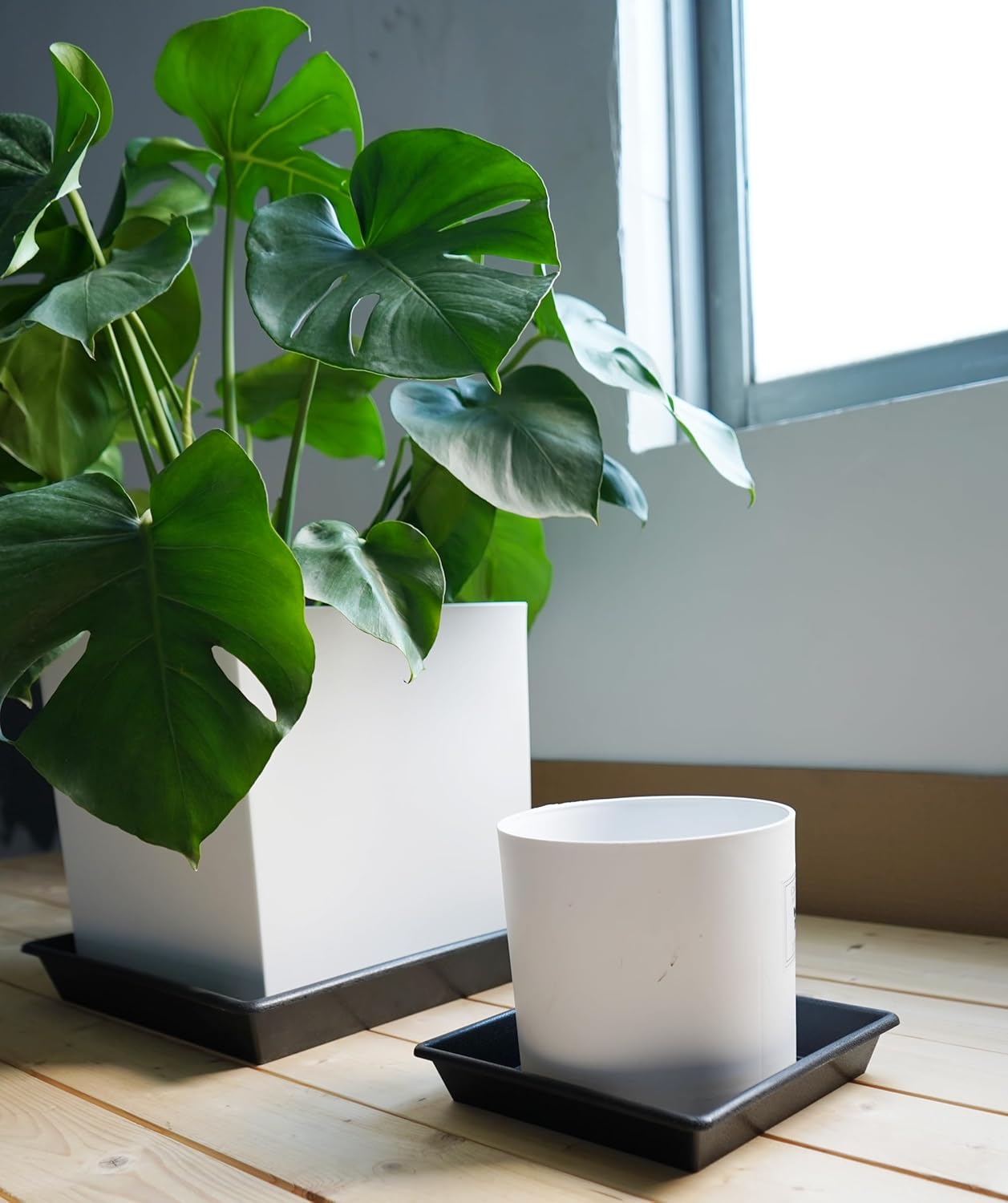 Square Plant Saucer 10 Inch 2 Pack 6 8 10 12 14 16 18 20 Inch, Plant Trays for Pots Heavy Duty Plastic Plant Saucers for Indoors Outdoors, Flower Pot No Holes Plant Drip Trays