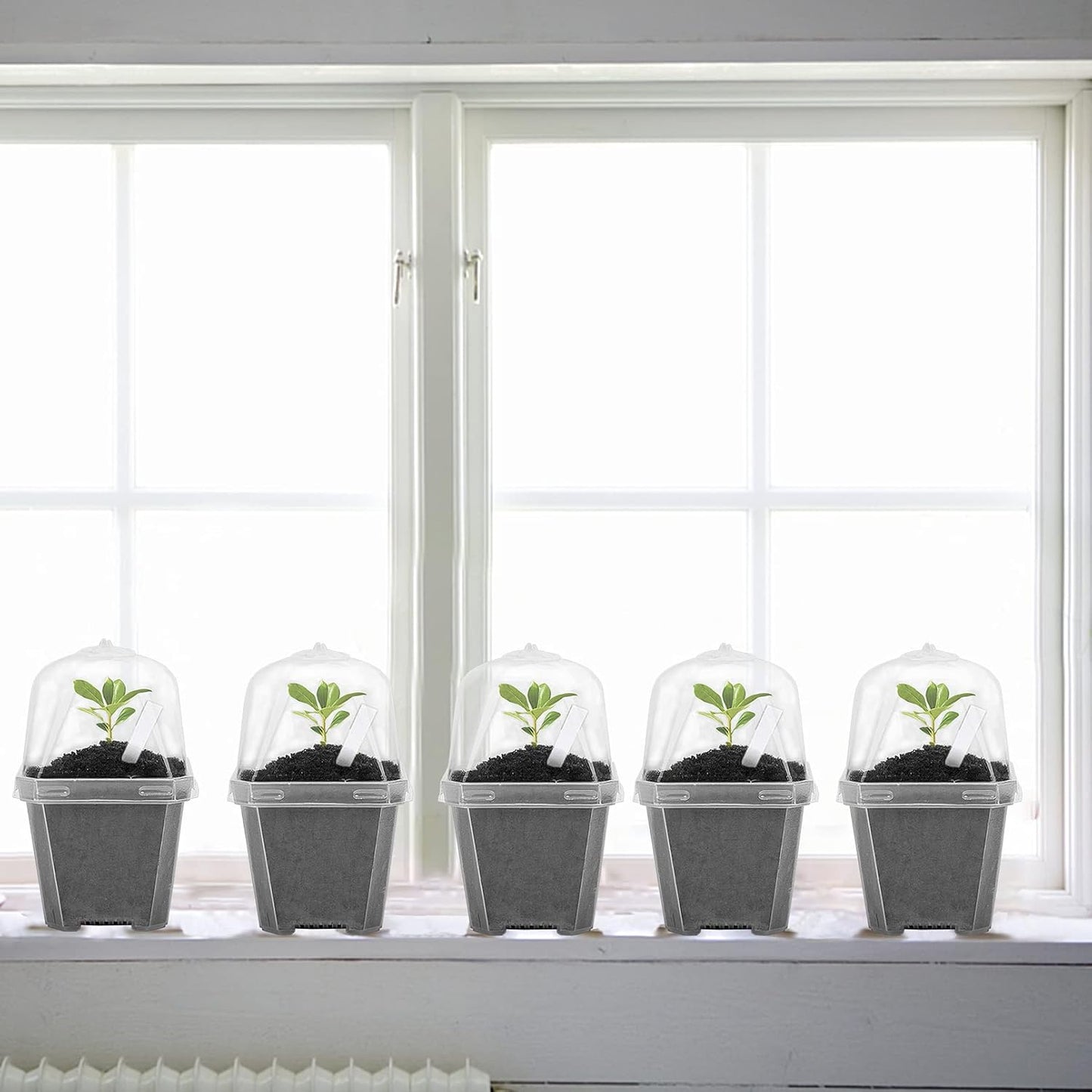 EBaokuup 30PCS Clear Plant Nursery Pots with Humidity Dome - 3" Durable Plastic Gardening Pot with Labels, Small Plant Container for Seedlings/Vegetables/Succulents/Cuttings