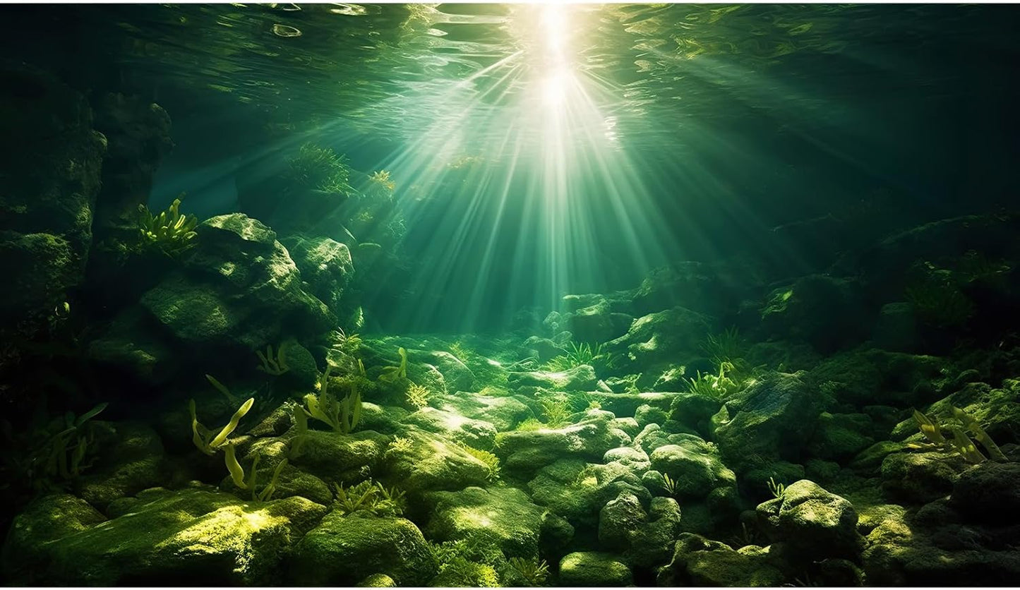 Underwater Sunray Aquarium Background Deep Ocean Rock Cave Fish Tank Background Under The Sea Coral Reef Aquarium Backgrounds Ocean Floor Tropical Fish Terrarium Backgrounds 36x20in