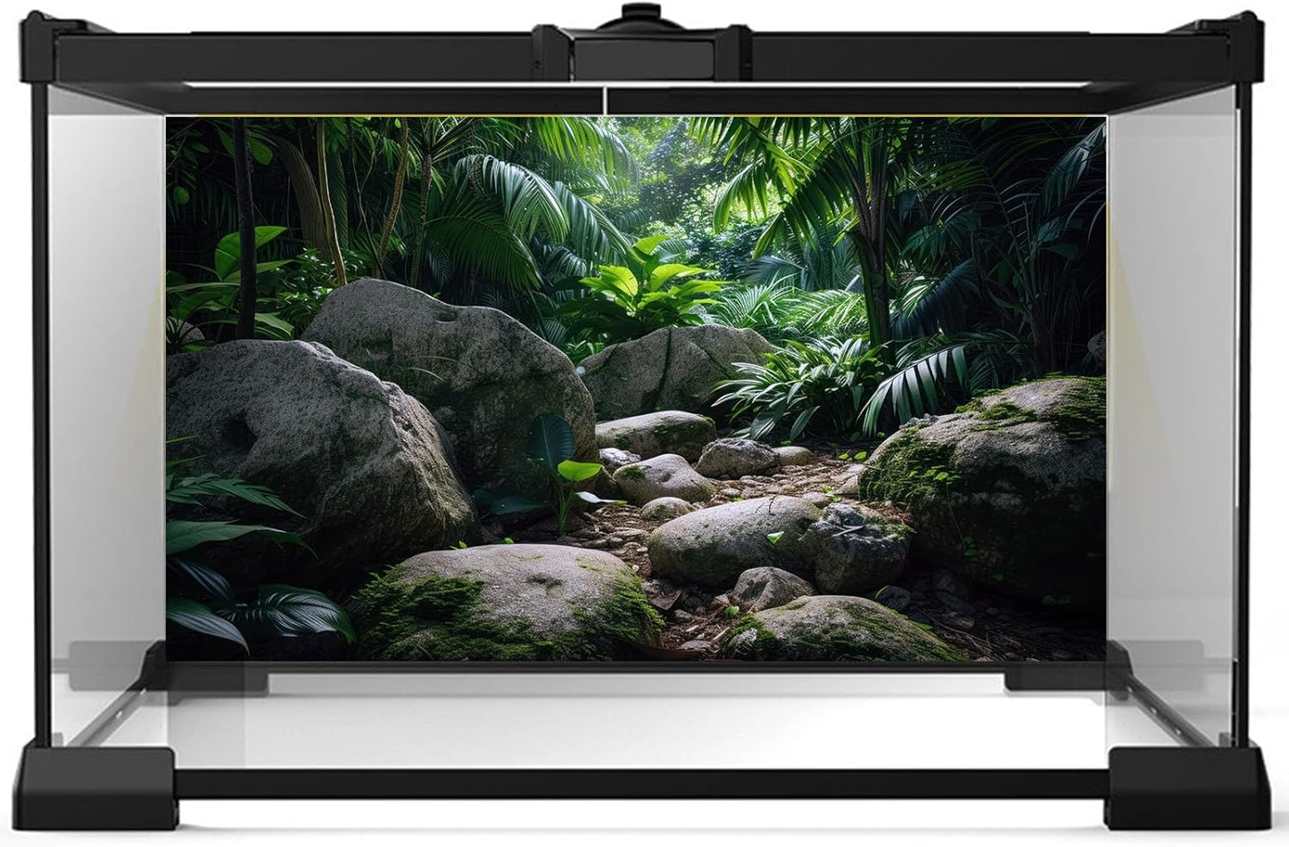 Reptile Habitat Backdrop Lush Tropical Plants and Rocks Terrarium Backdrop Dense Vegetation with Large Broad Leaves and Ferns Fish Tank Background Aquarium Wallpaper Poster Decor Vinyl 48x20in